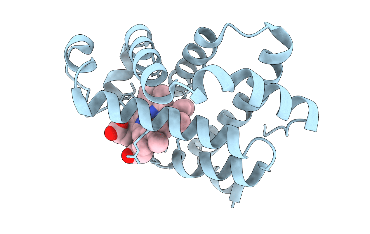 2zwj image