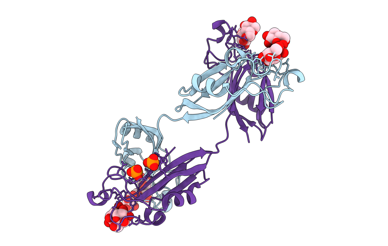 2ZX4 image