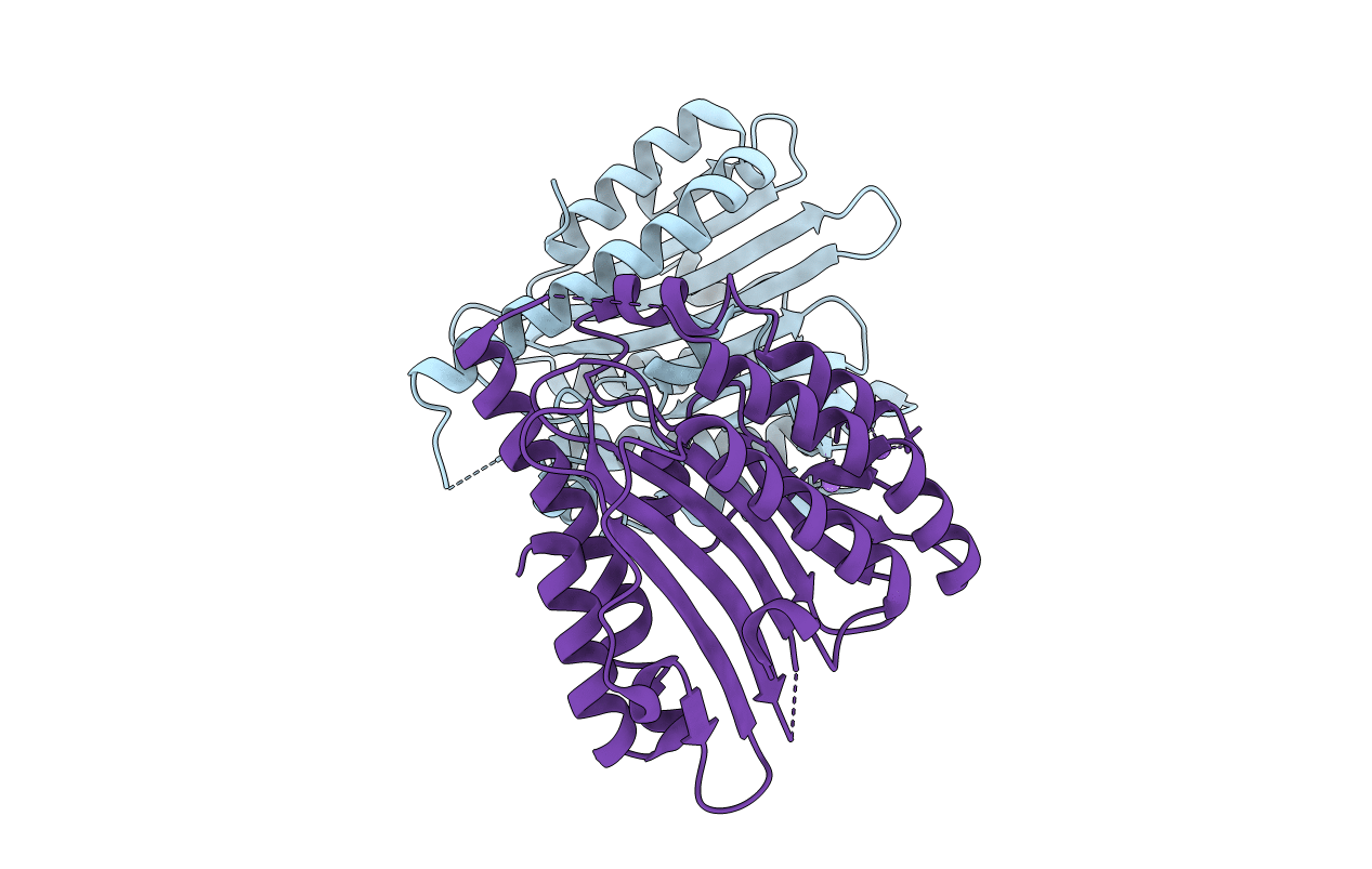 2ZXK image