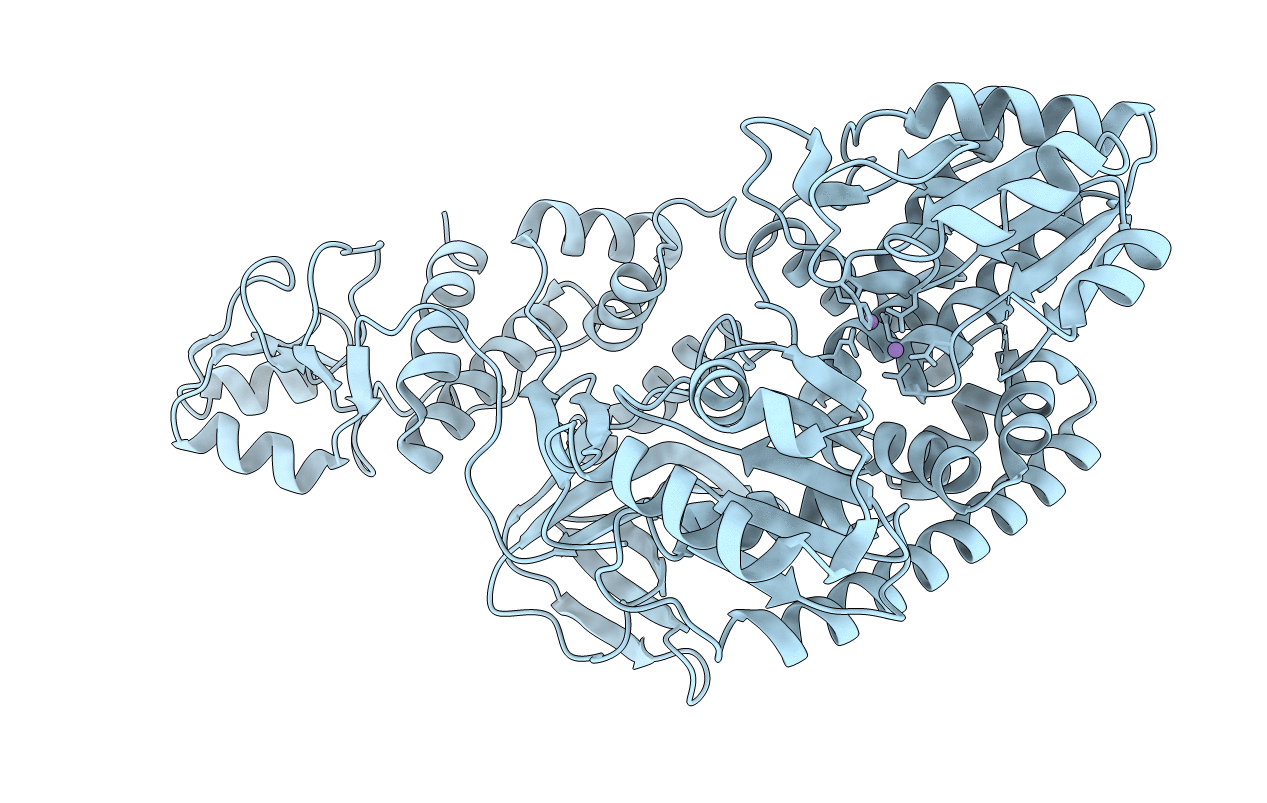 2ZXP image
