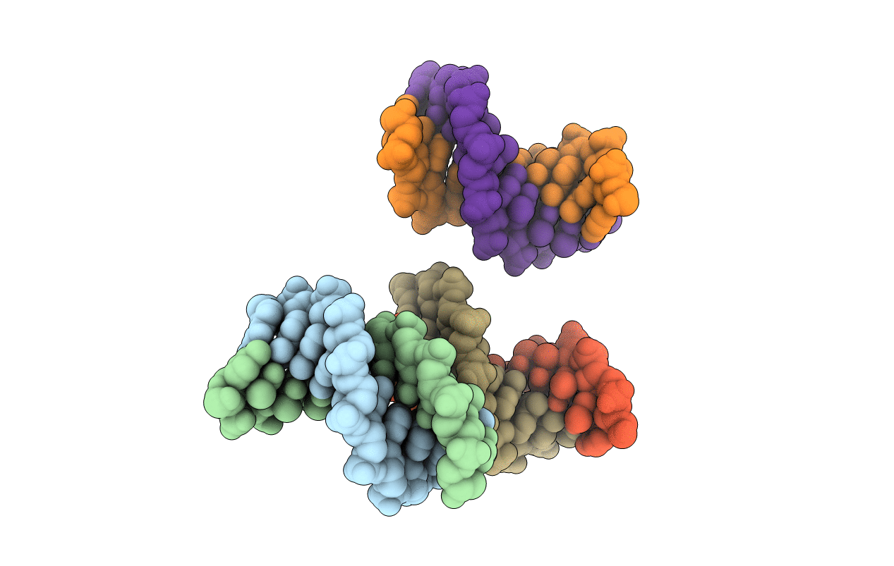 307D image