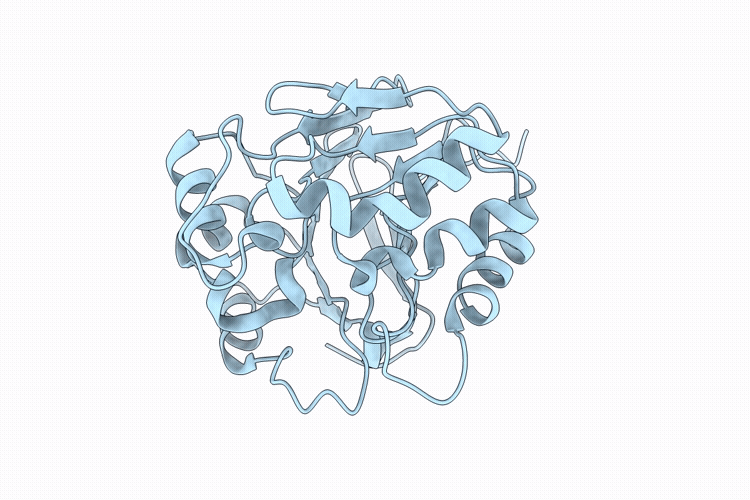 30BT image