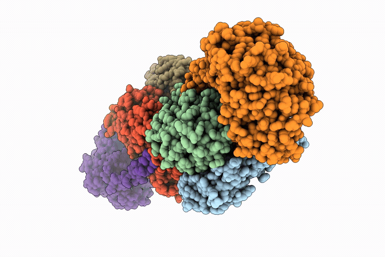 30GH image