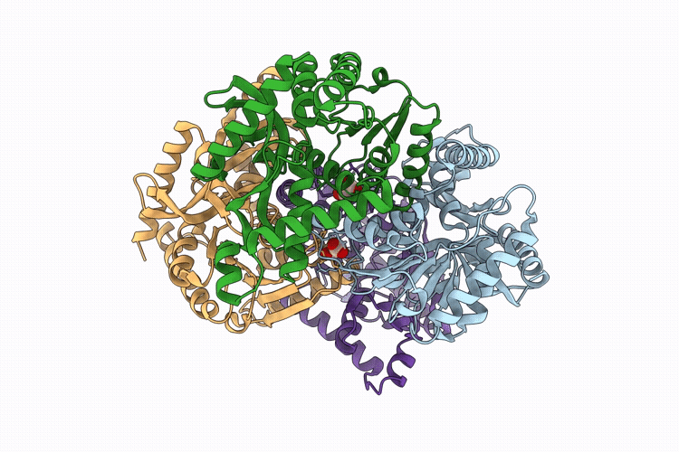 30IZ image