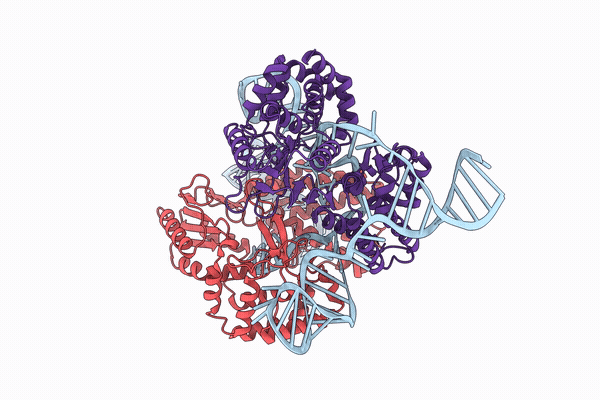 30QU image
