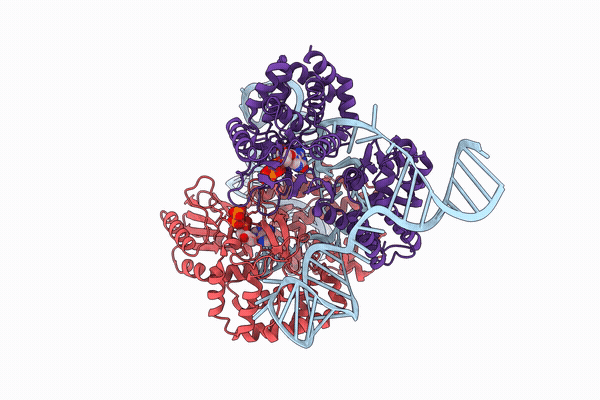30QX image