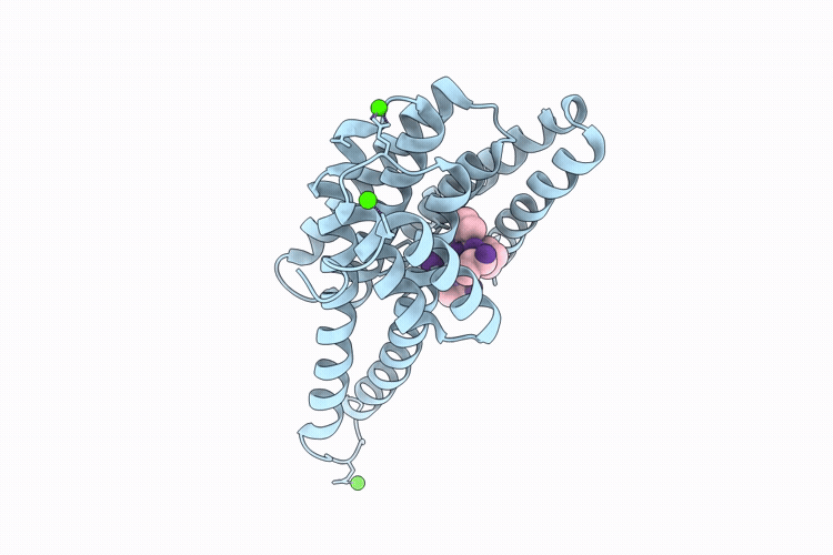 30TR image