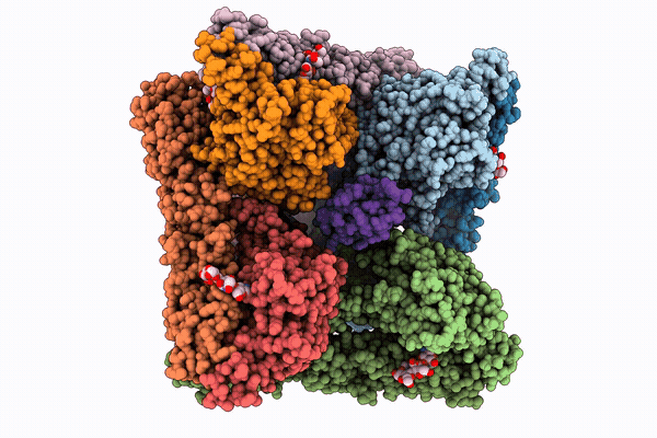 30XT image