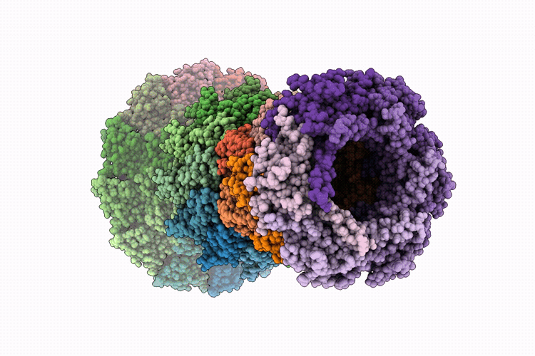 30YU image