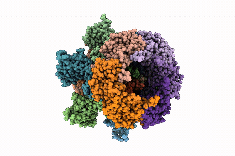 30YX image