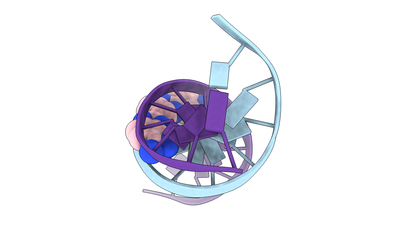 311D image