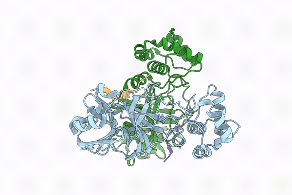 31GI image