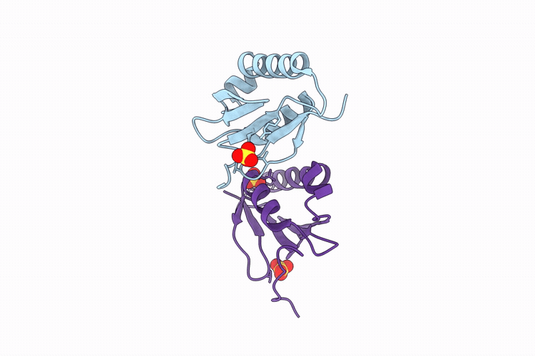 31KJ image