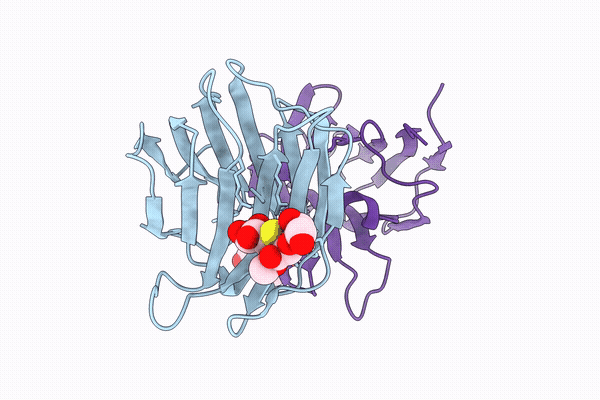 31ML image