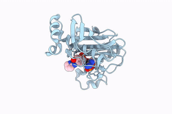 31RR image