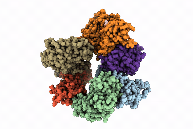 32AW image