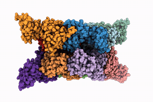 32GE image
