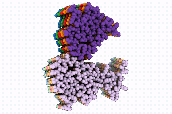 32IB image