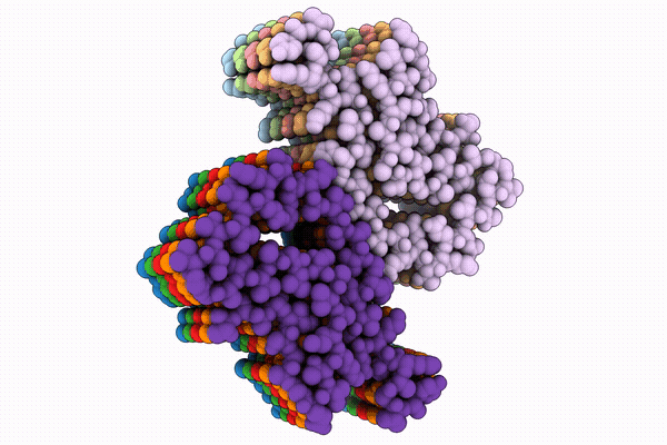 32IO image