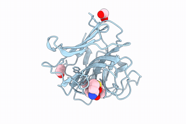 32QO image