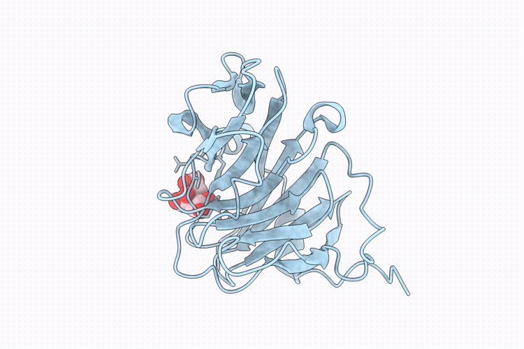 32RM image