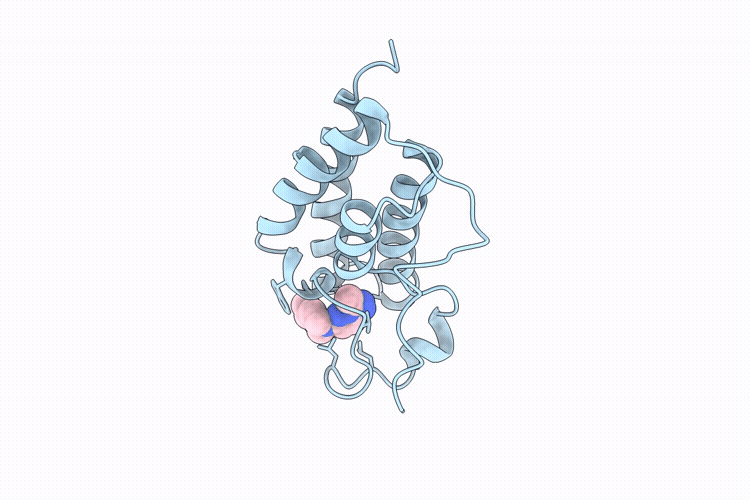 32SN image