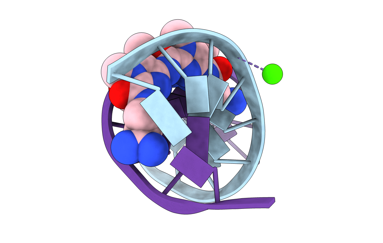 334D image