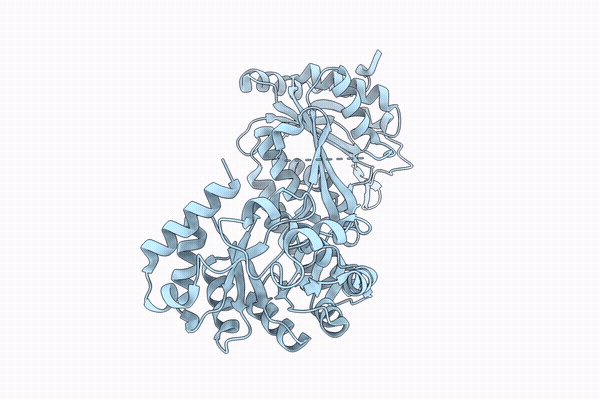 33AS image