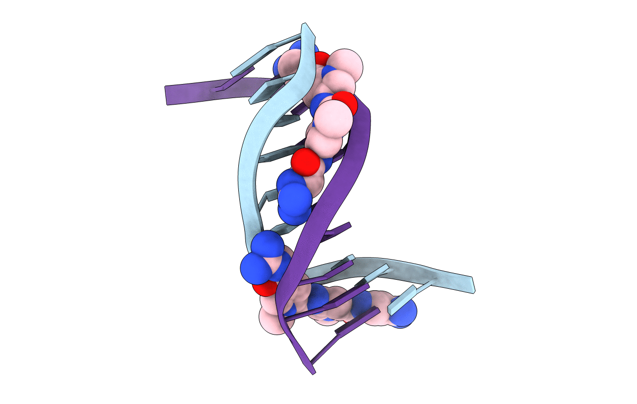 358D image
