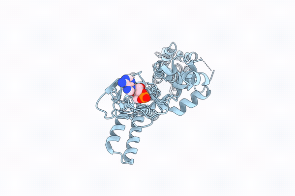 35VT image