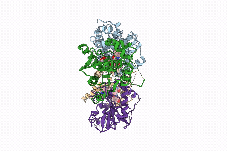 35YH image