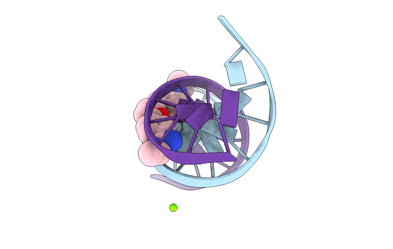 360D image