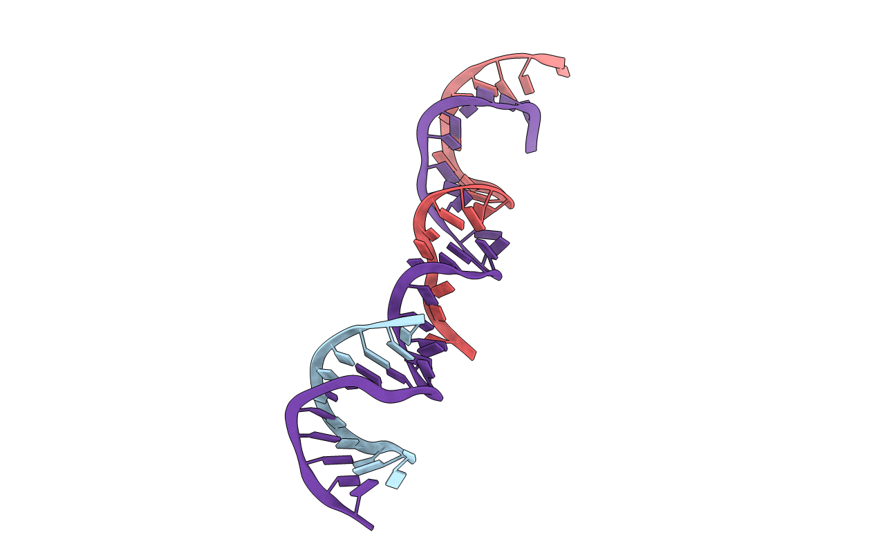 364D image