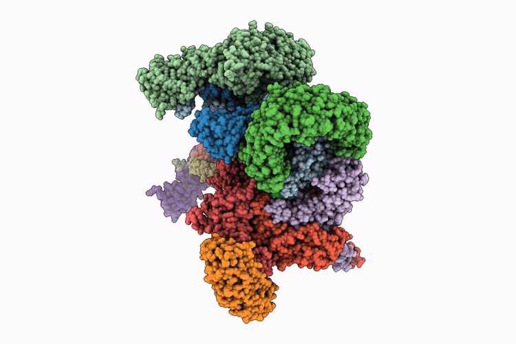 36BM image