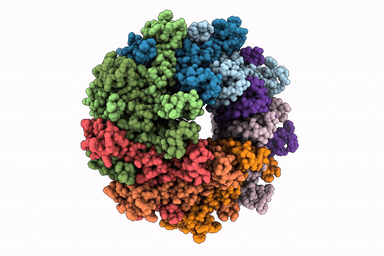 36HW image