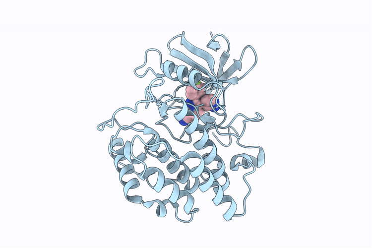 36JC image
