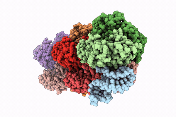 36PE image