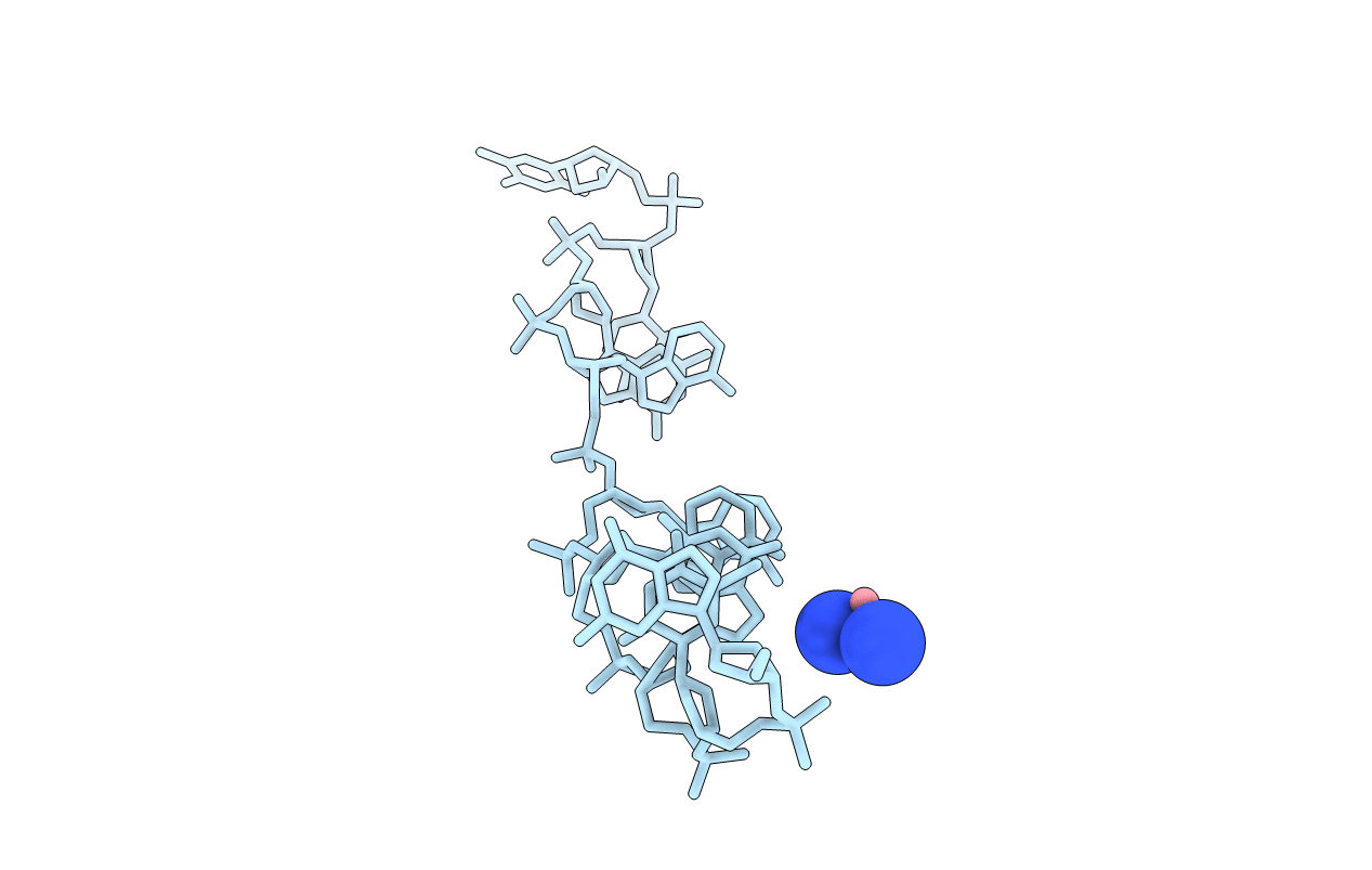 376D image