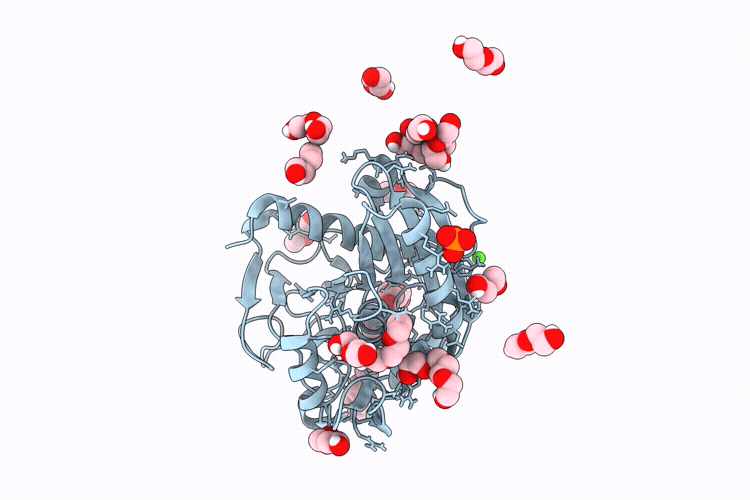 37CB image