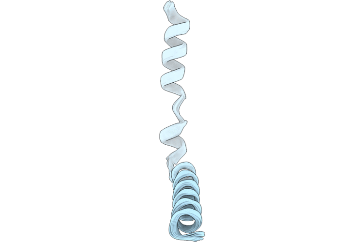 37CT image