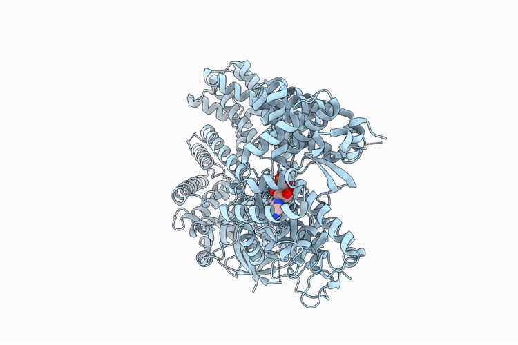 37IB image