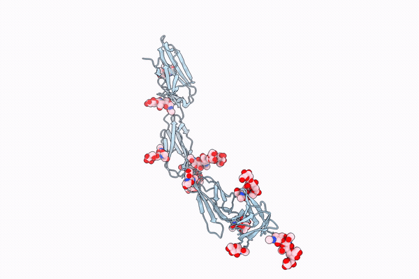 37NT image