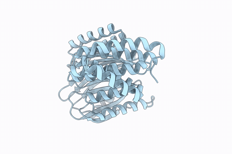 37SN image