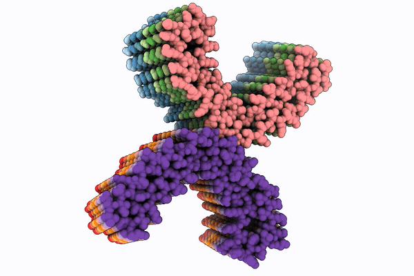 37VX image