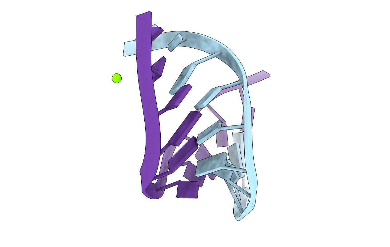 383D image