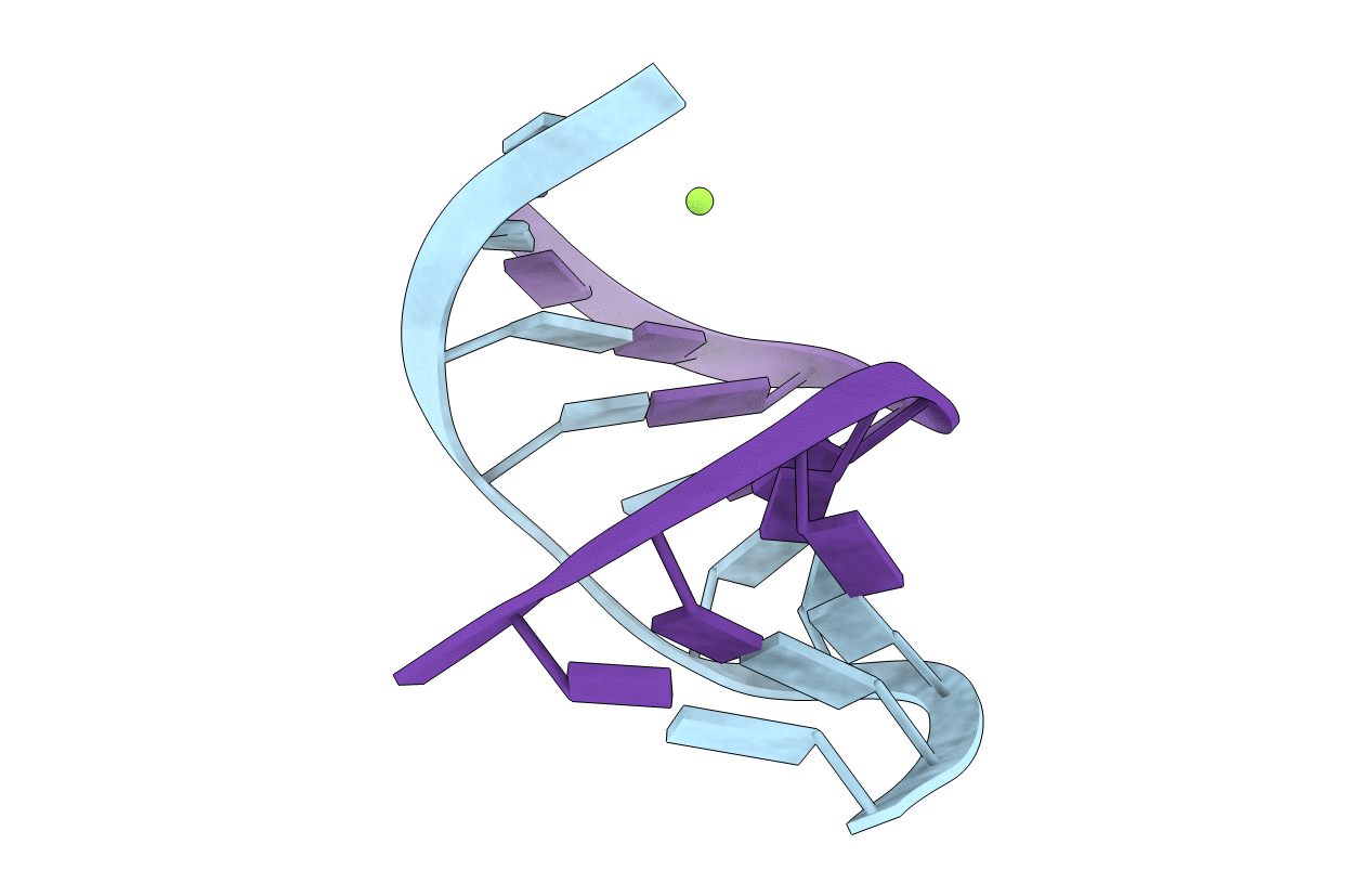 384D image