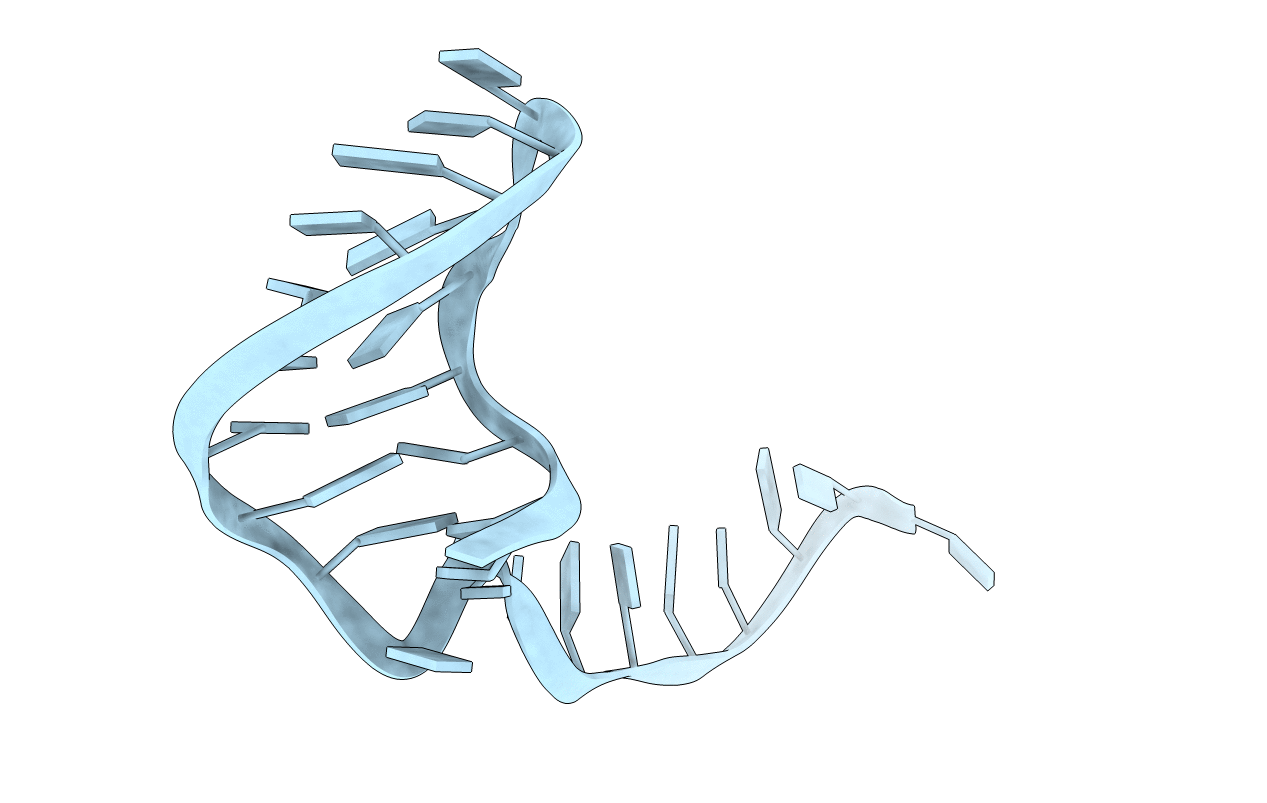 387D image