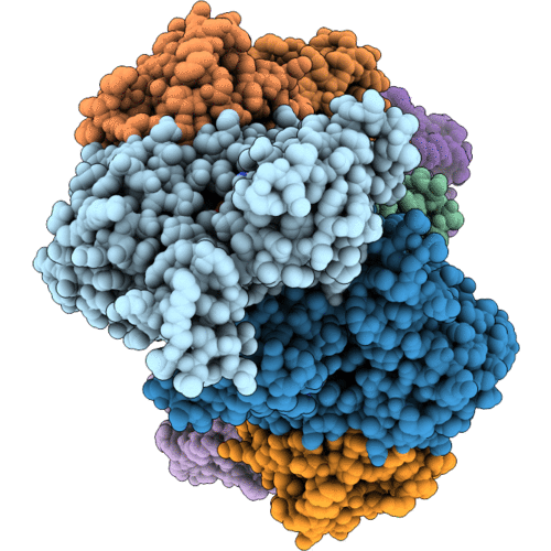 38KP image