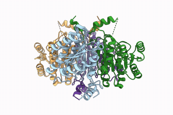 38RR image