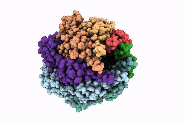 38RX image